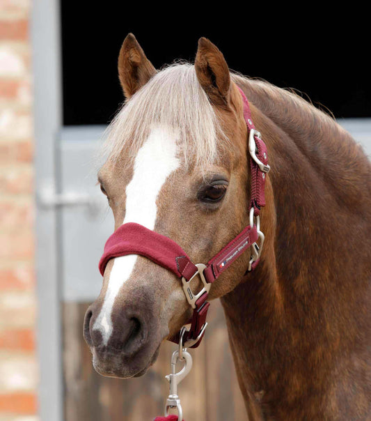 Premier Equine Fleece Padded Pony Head Collar by Premier Equine at Try a Bit