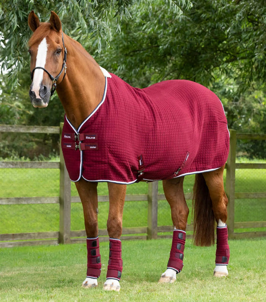 Premier Equine PremTex Horse Cooler Rug by Premier Equine at Try a Bit