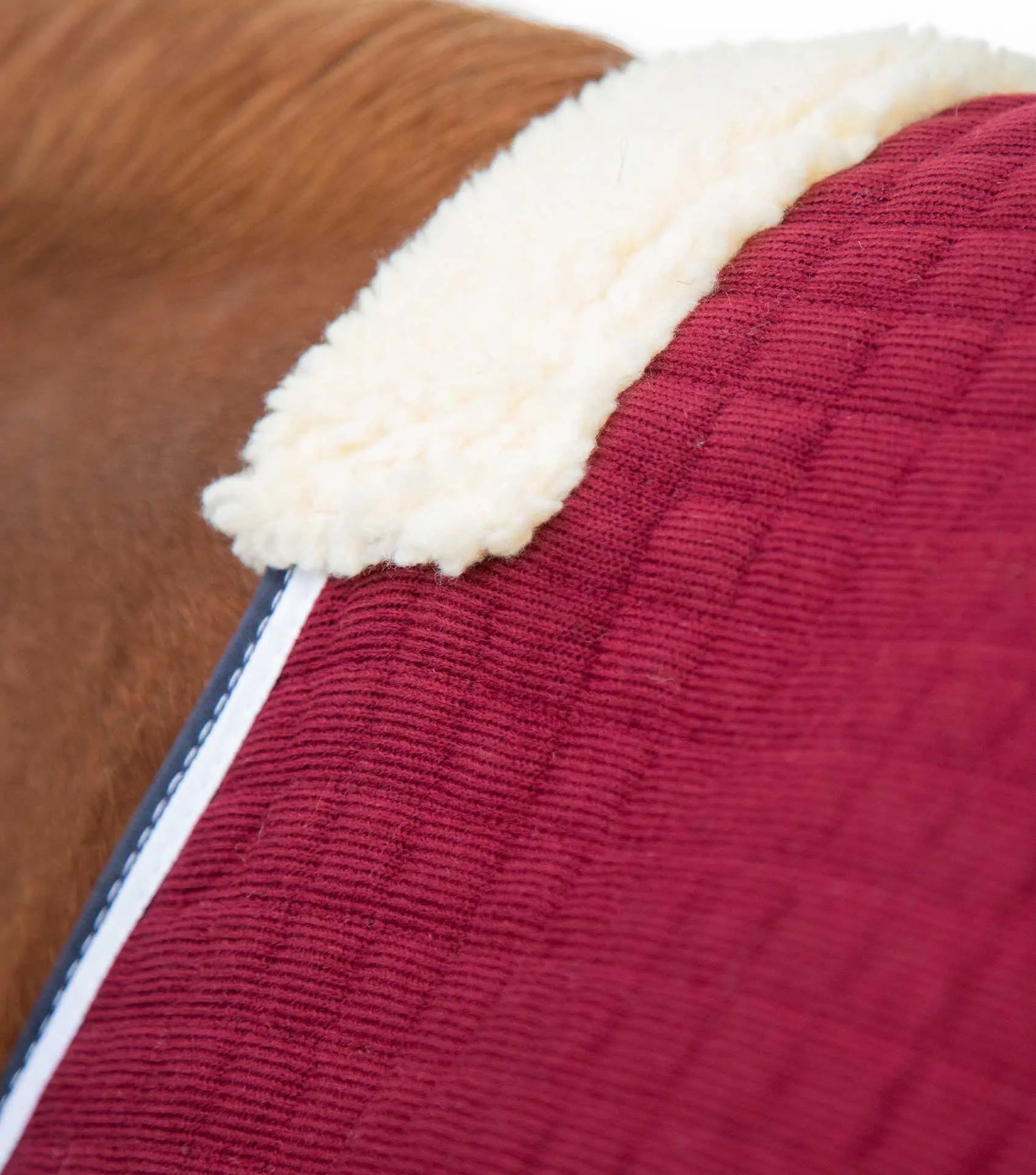 Premier Equine PremTex Horse Cooler Rug by Premier Equine at Try a Bit