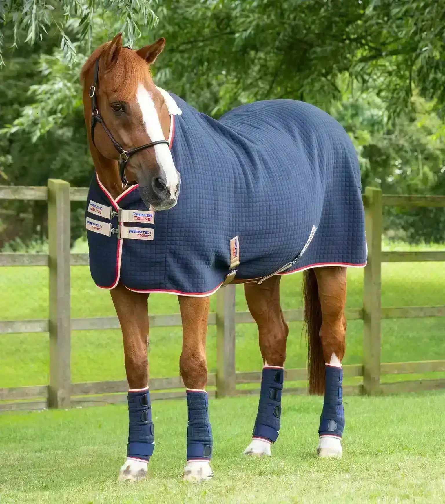 Premier Equine PremTex Horse Cooler Rug by Premier Equine at Try a Bit