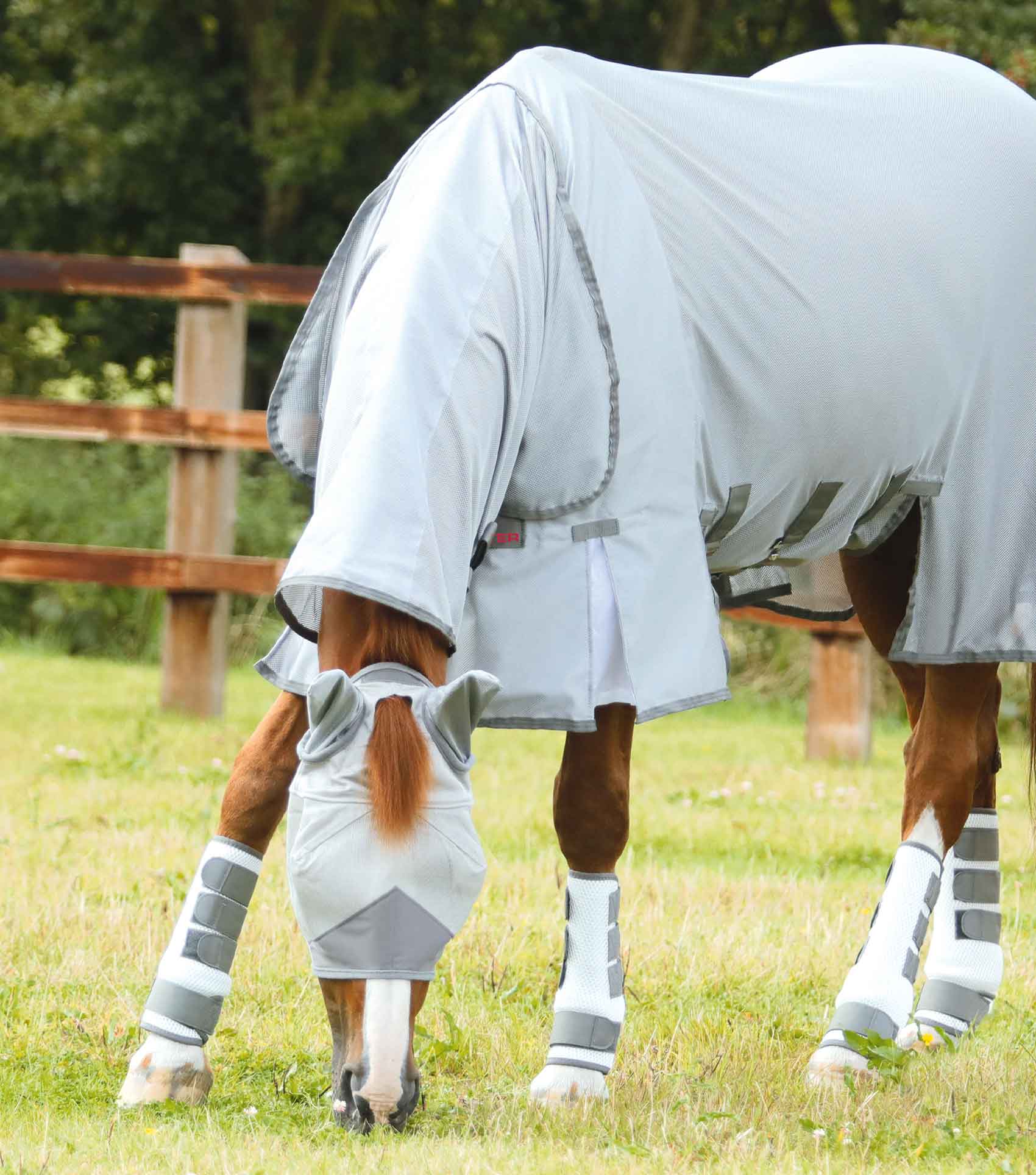 Premier Equine Pro-Tech Bug & Fly Boots by Premier Equine at Try a Bit
