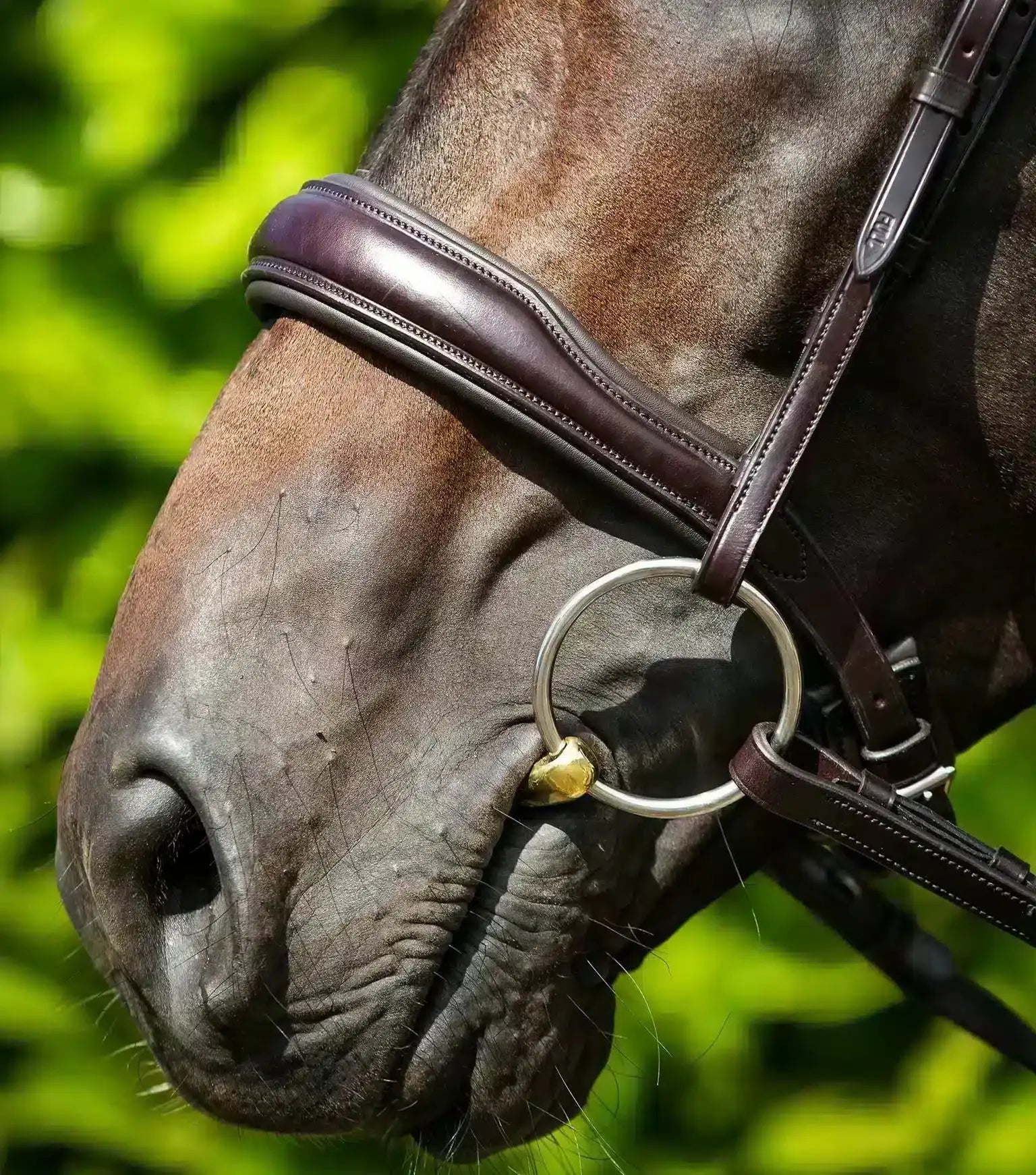 Premier Equine Verdura Anatomic Snaffle Bridle by Premier Equine at Try a Bit