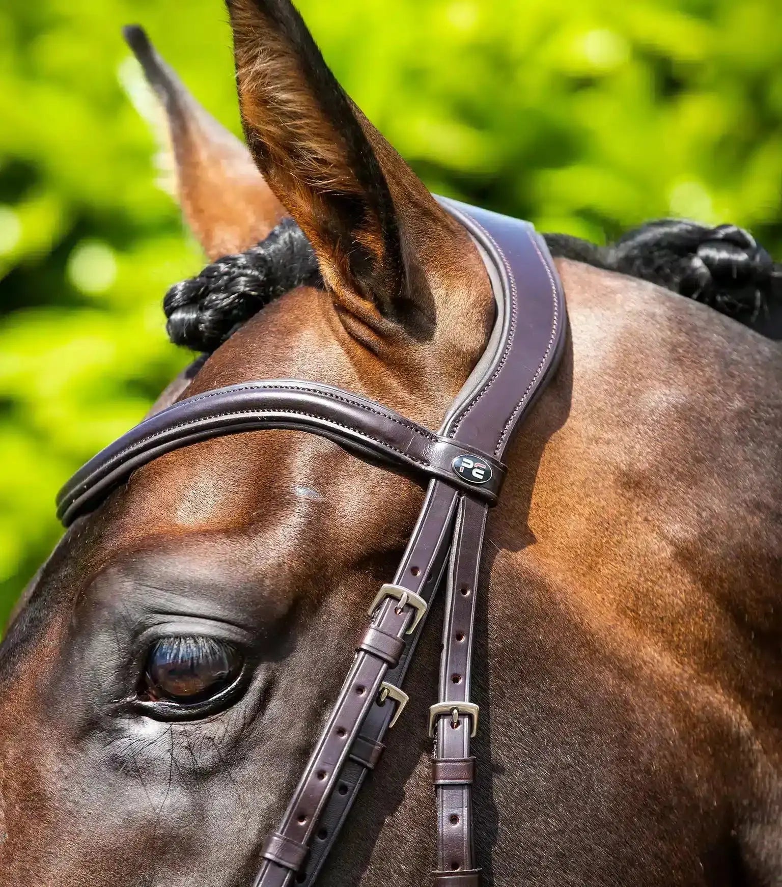 Premier Equine Verdura Anatomic Snaffle Bridle by Premier Equine at Try a Bit