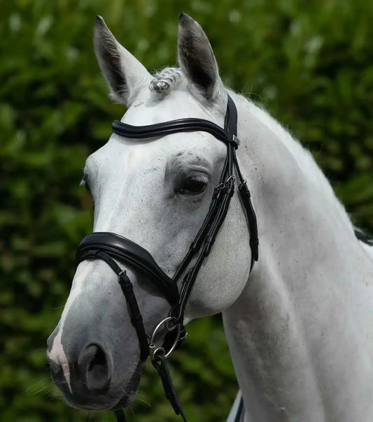 Premier Equine Rizzo Anatomic Snaffle Bridle with Flash by Premier Equine at Try a Bit