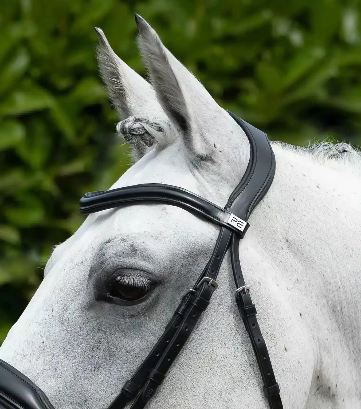Premier Equine Rizzo Anatomic Snaffle Bridle with Flash by Premier Equine at Try a Bit