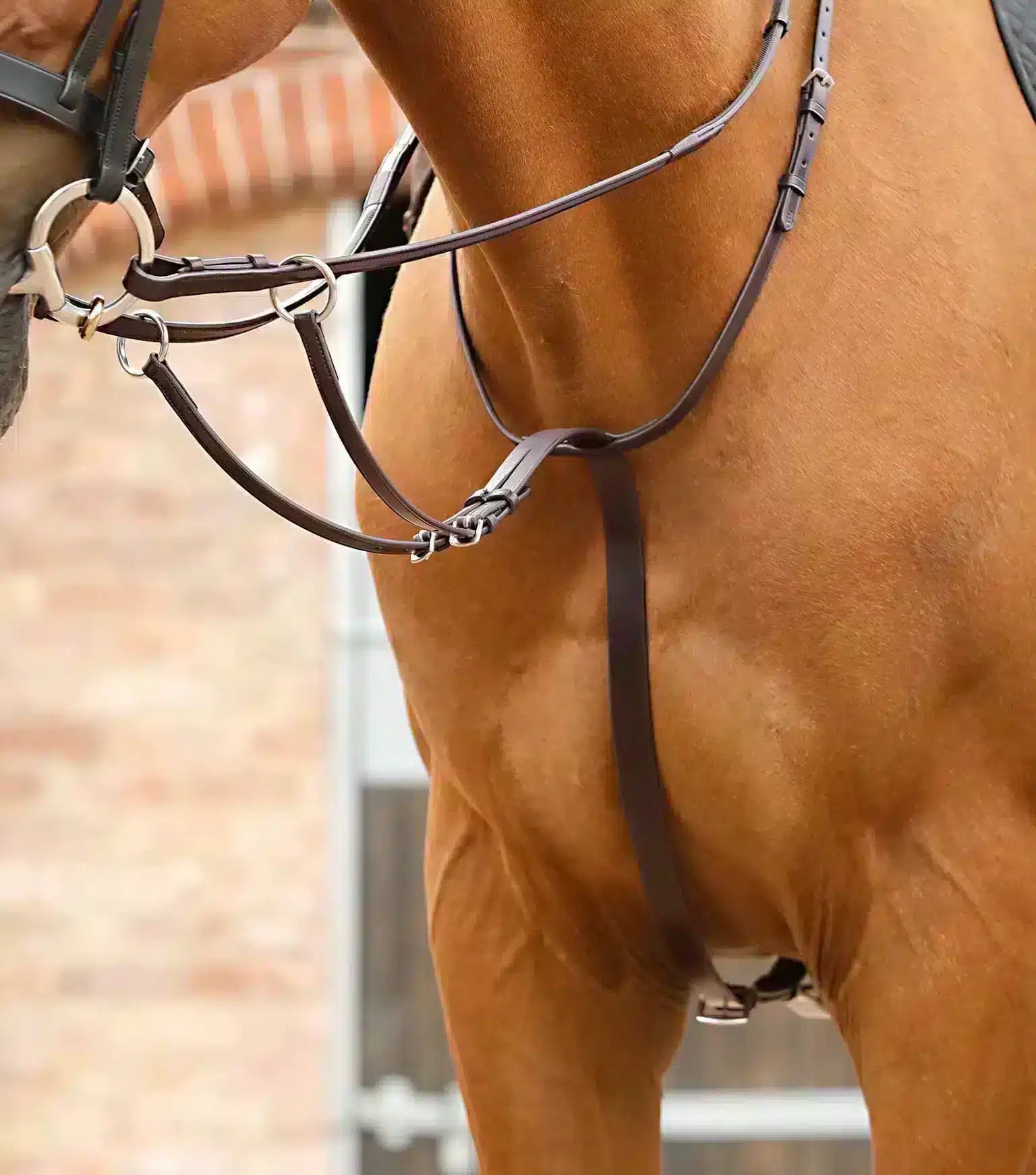 Premier Equine Santadi Adjustable Running Martingale by Premier Equine at Try a Bit