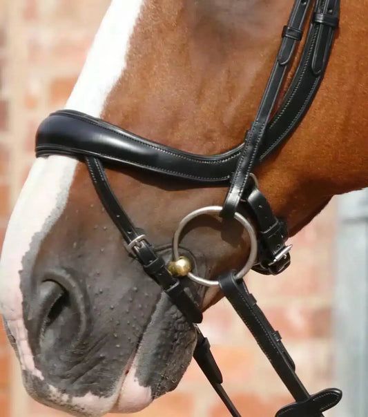 Premier Equine Savuto Anatomic Bridle with Crank Noseband & Flash by Premier Equine at  Try a Bit