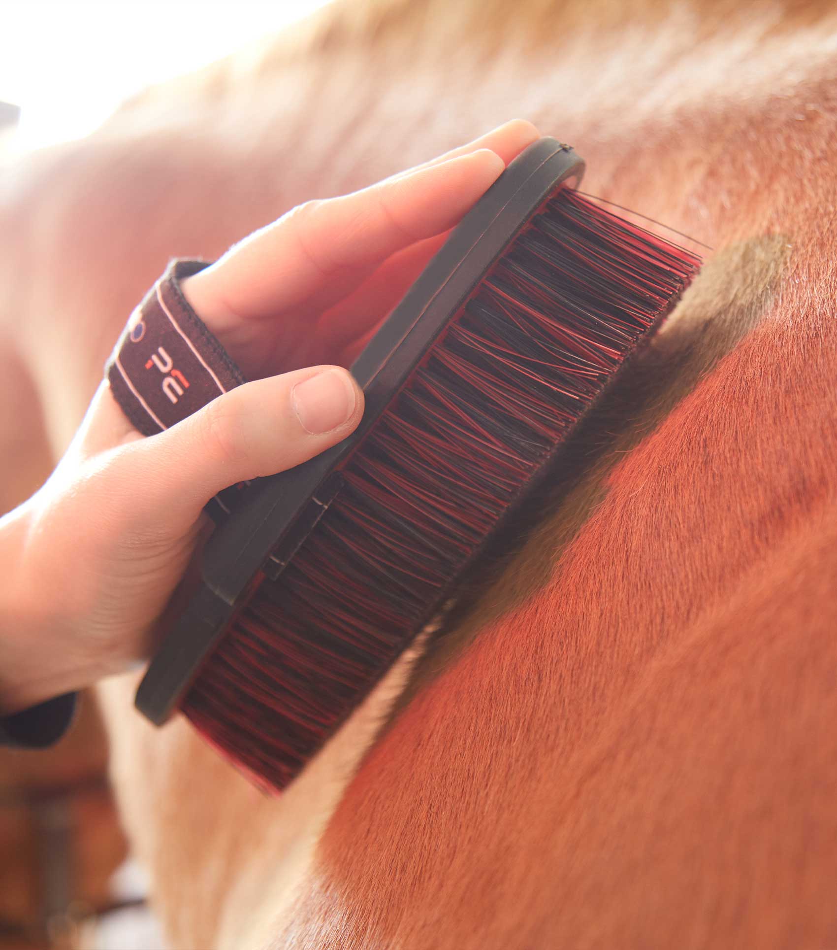 Premier Equine Soft-Touch Body Brush by Premier Equine at Try a Bit