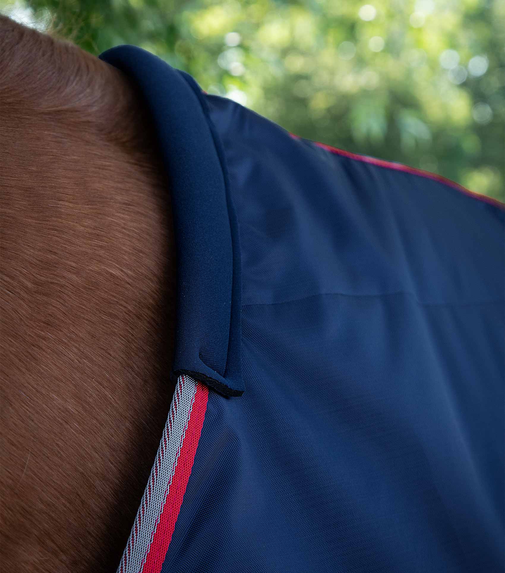 Premier Equine Stable Buster Lite 100g by Premier Equine at Try a Bit