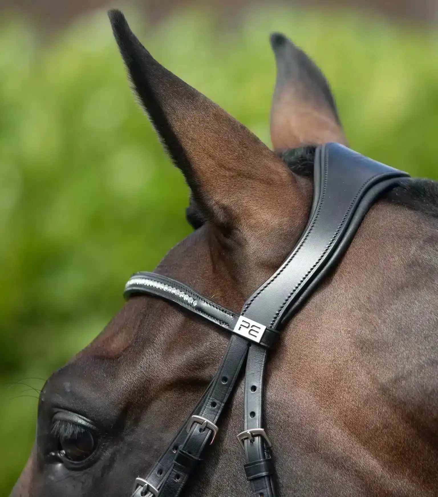 Premier Equine Stellazio Anatomic Snaffle Bridle with Flash by Premier Equine at Try a Bit