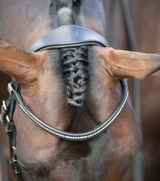 Premier Equine Stellazio Anatomic Snaffle Bridle with Flash by Premier Equine at  Try a Bit