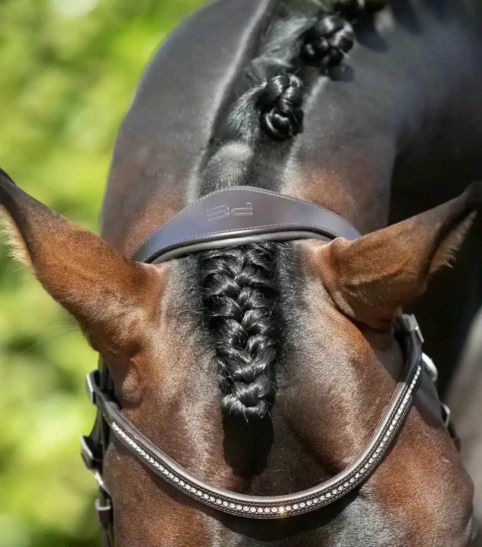 Premier Equine Stellazio Anatomic Snaffle Bridle with Flash by Premier Equine at Try a Bit