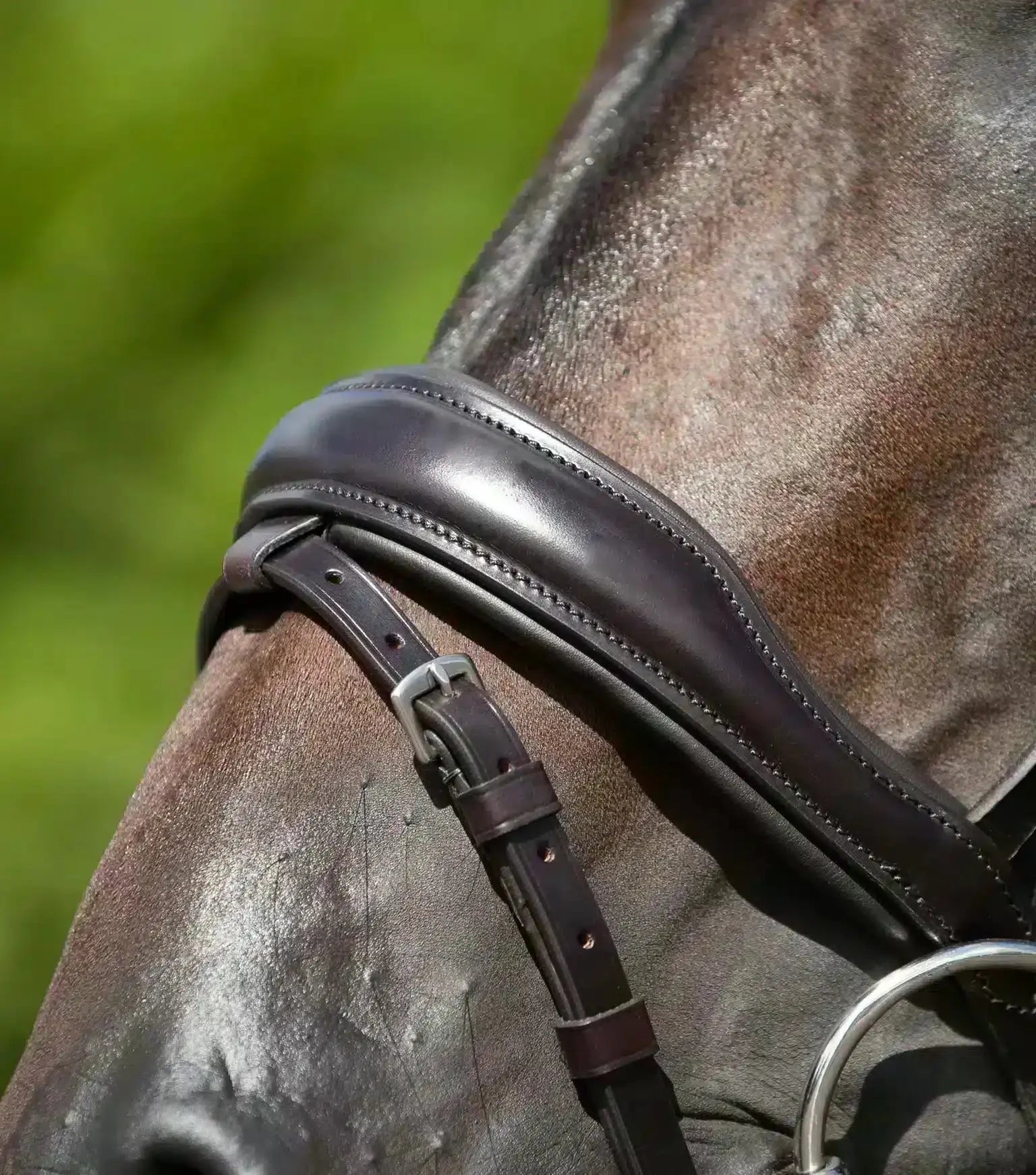 Premier Equine Stellazio Anatomic Snaffle Bridle with Flash by Premier Equine at Try a Bit