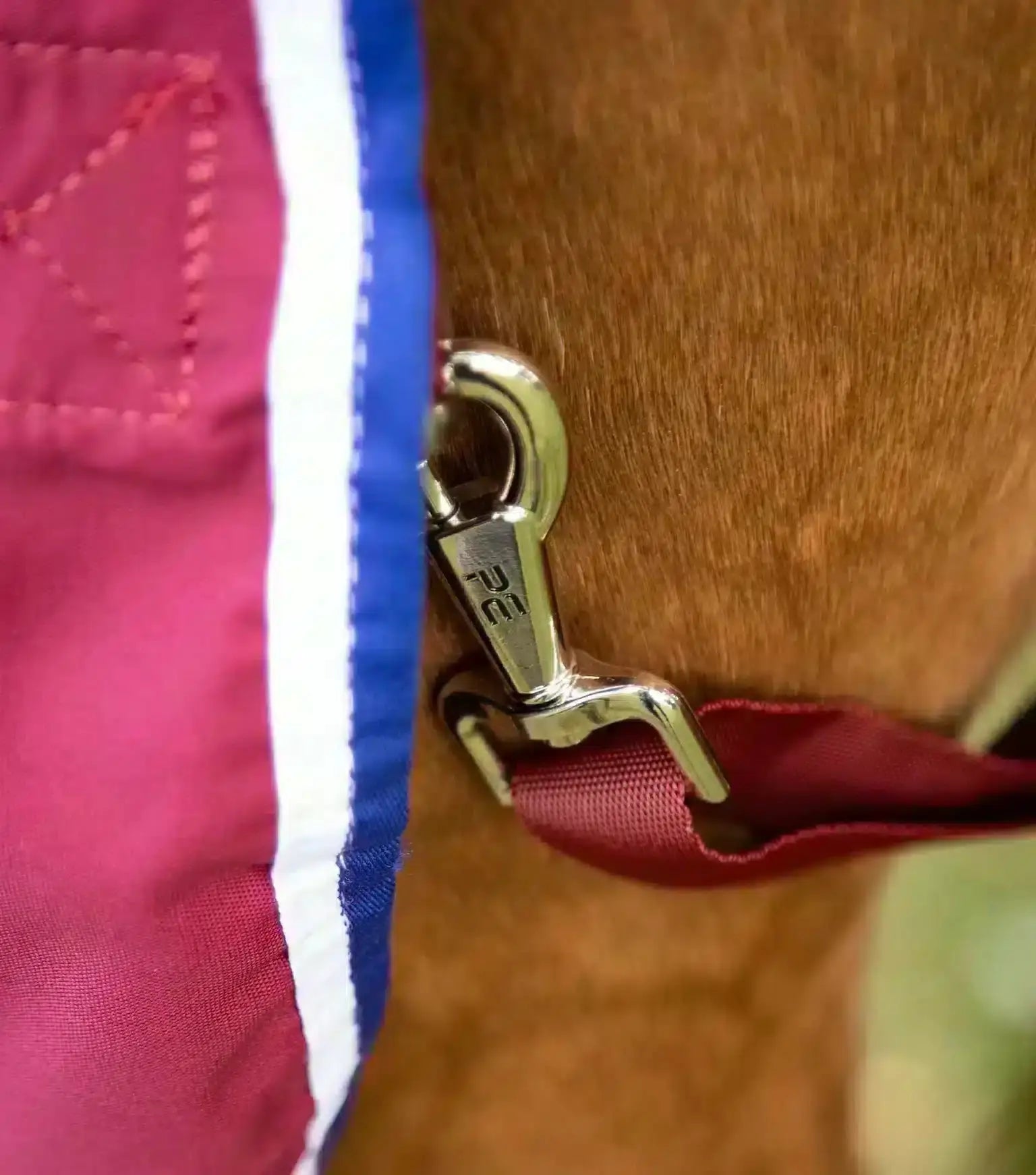 Premier Equine Stratus Horse Stable Sheet by Premier Equine at Try a Bit