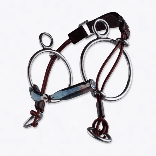 Trust Sweet Iron Single Jointed CurbGag by Trust Equestrian at Try a Bit