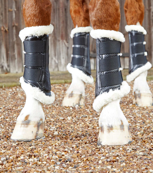 Premier Equine Techno Wool Brushing Boots by Premier Equine at  Try A Bit