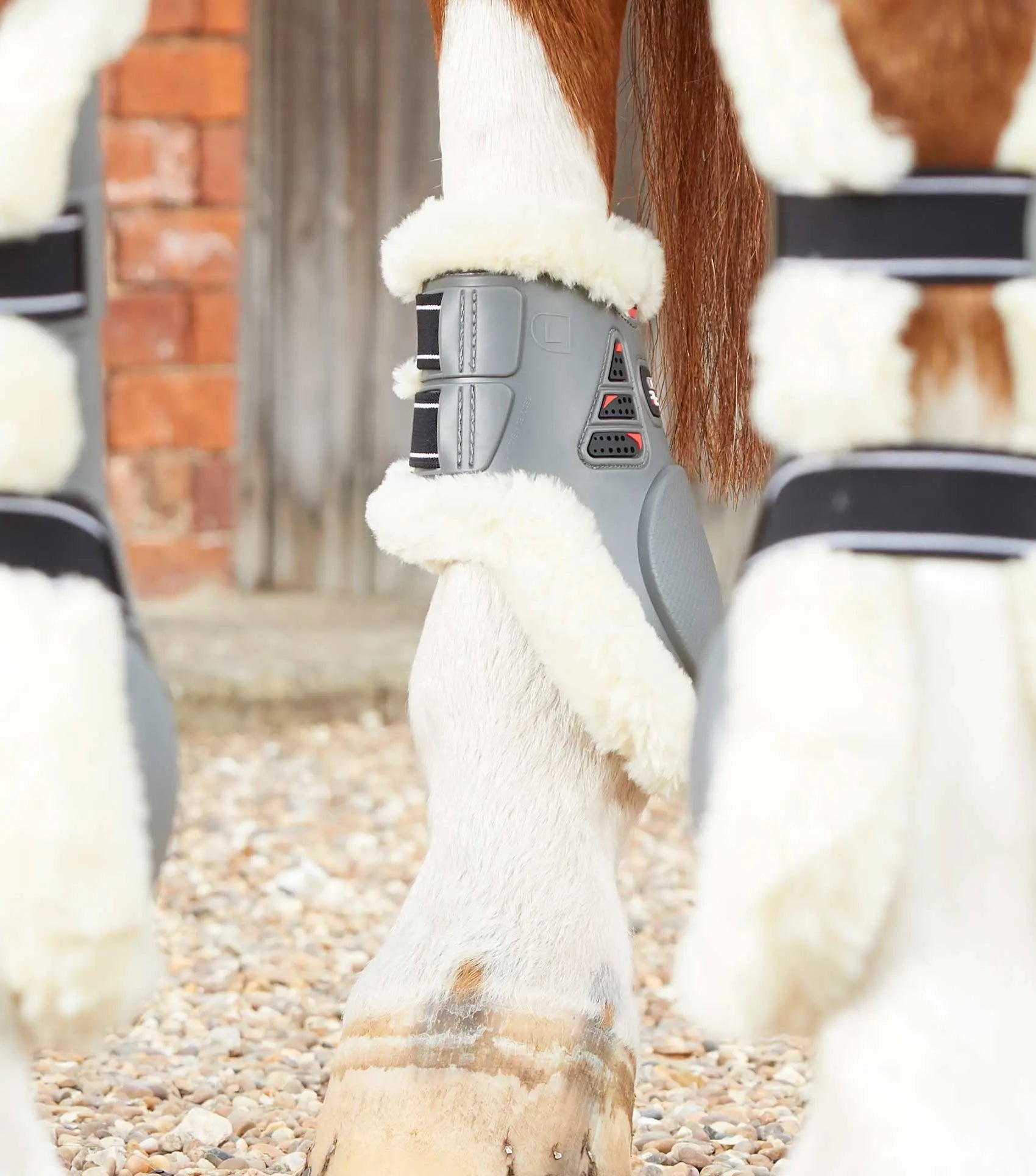 Premier Equine Techno Wool Fetlock Boots by Premier Equine at Try A Bit