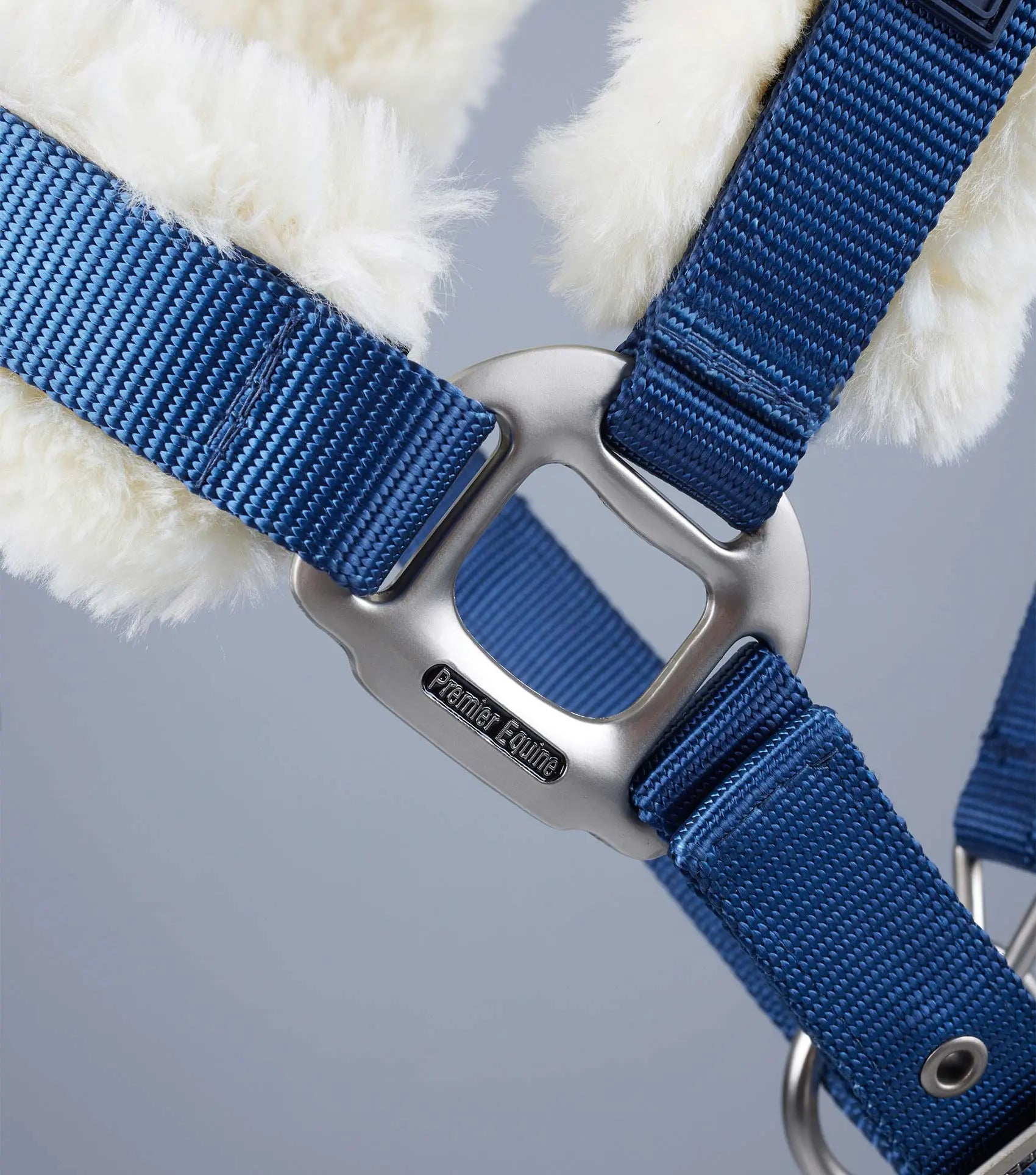 Premier Equine Techno Wool Lined Head Collar by Premier Equine at Try A Bit