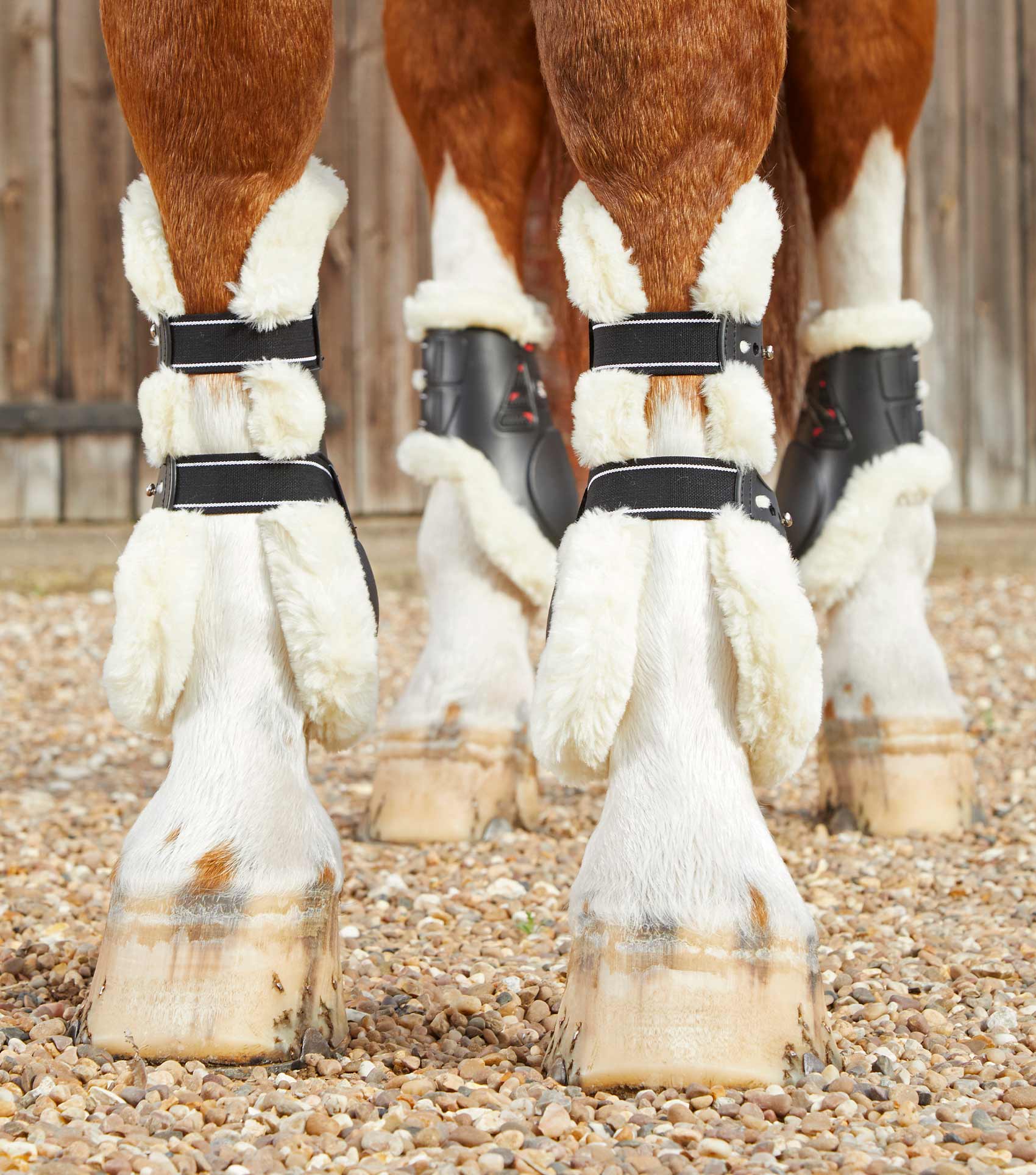 Premier Equine Techno Wool Tendon Boots by Premier Equine at Try a Bit