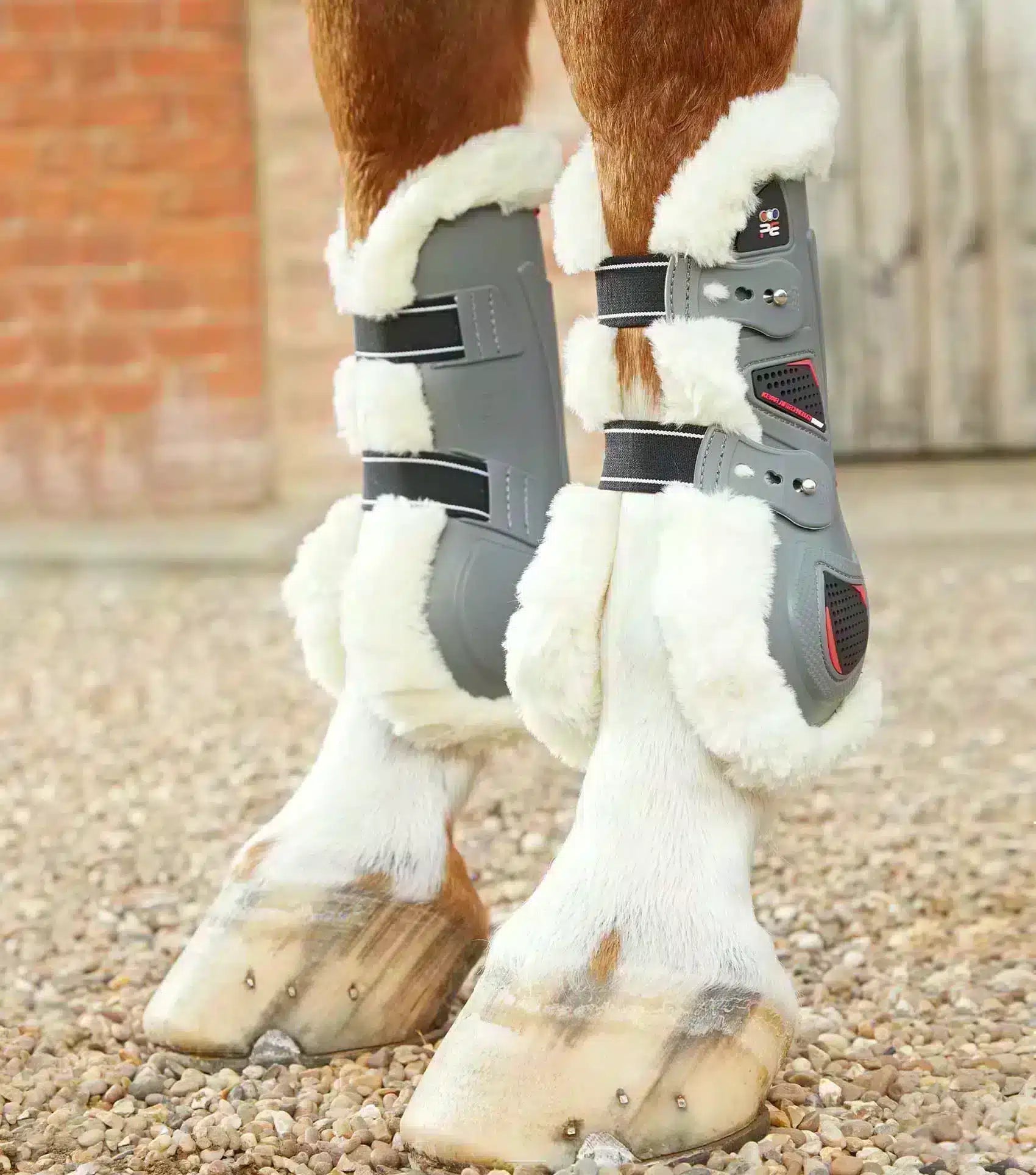 Premier Equine Techno Wool Tendon Boots by Premier Equine at Try a Bit