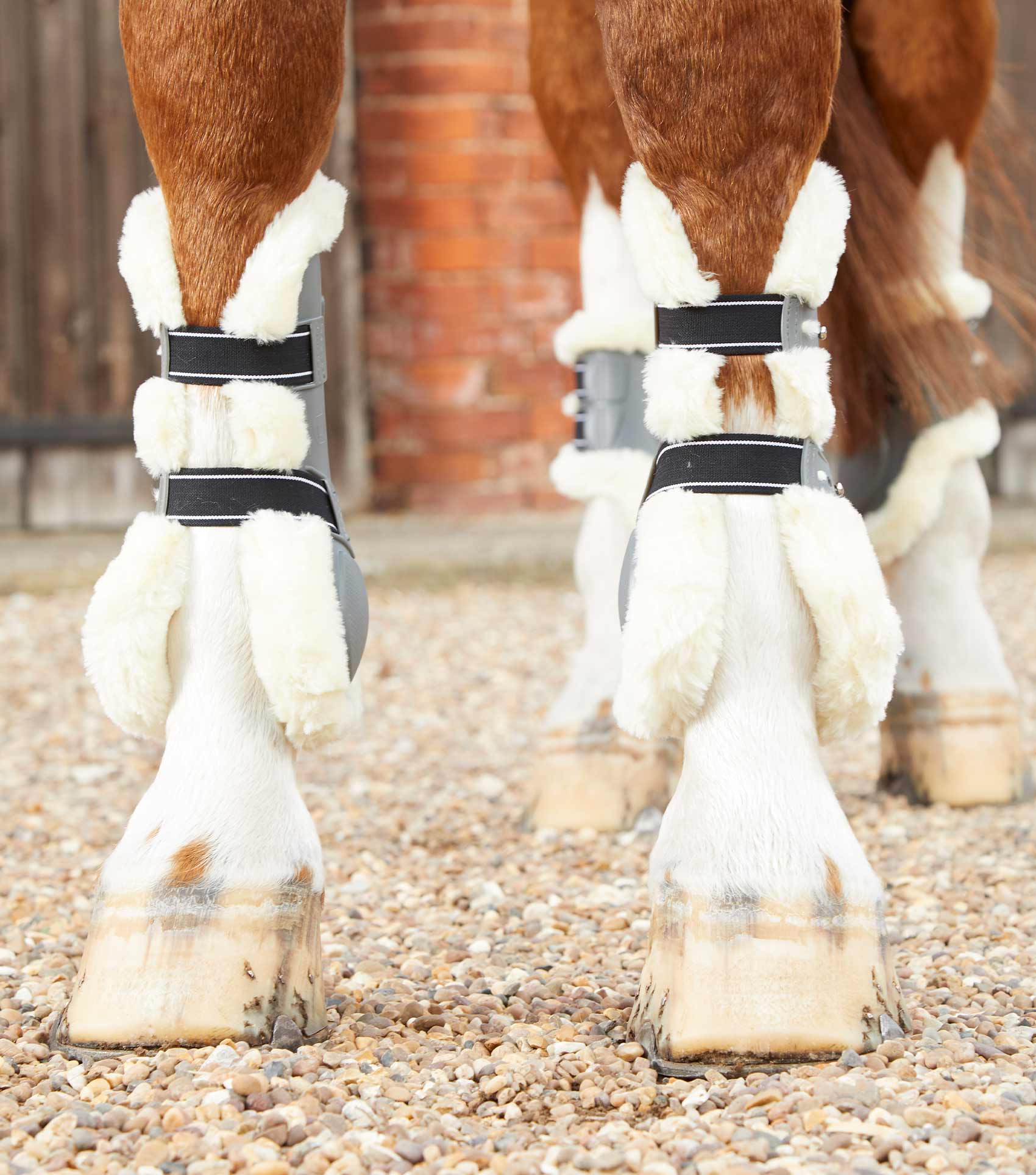 Premier Equine Techno Wool Tendon Boots by Premier Equine at Try a Bit
