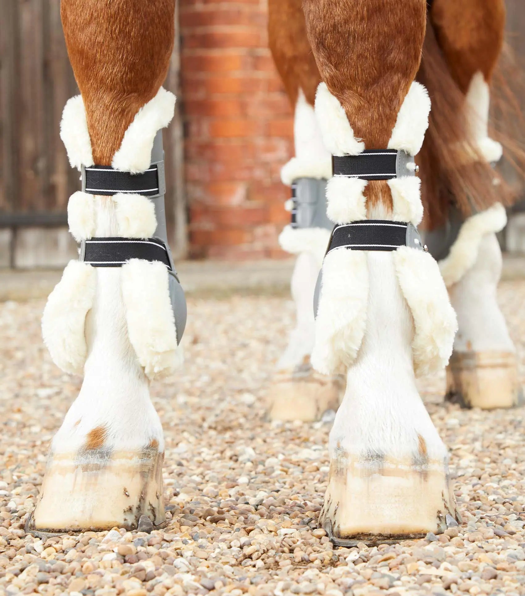 Premier Equine Techno Wool Tendon Boots by Premier Equine at Try A Bit