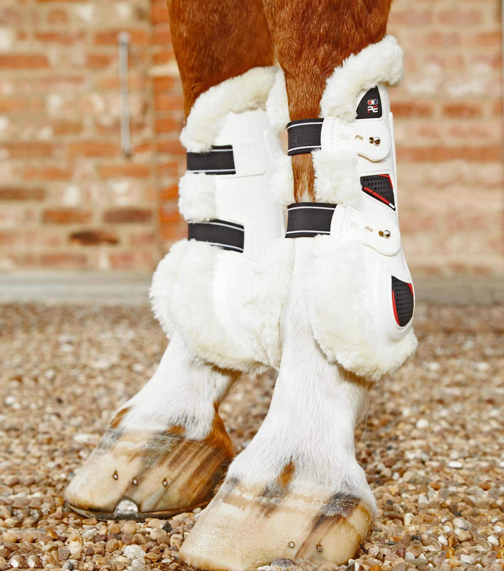 Premier Equine Techno Wool Tendon Boots by Premier Equine at Try a Bit