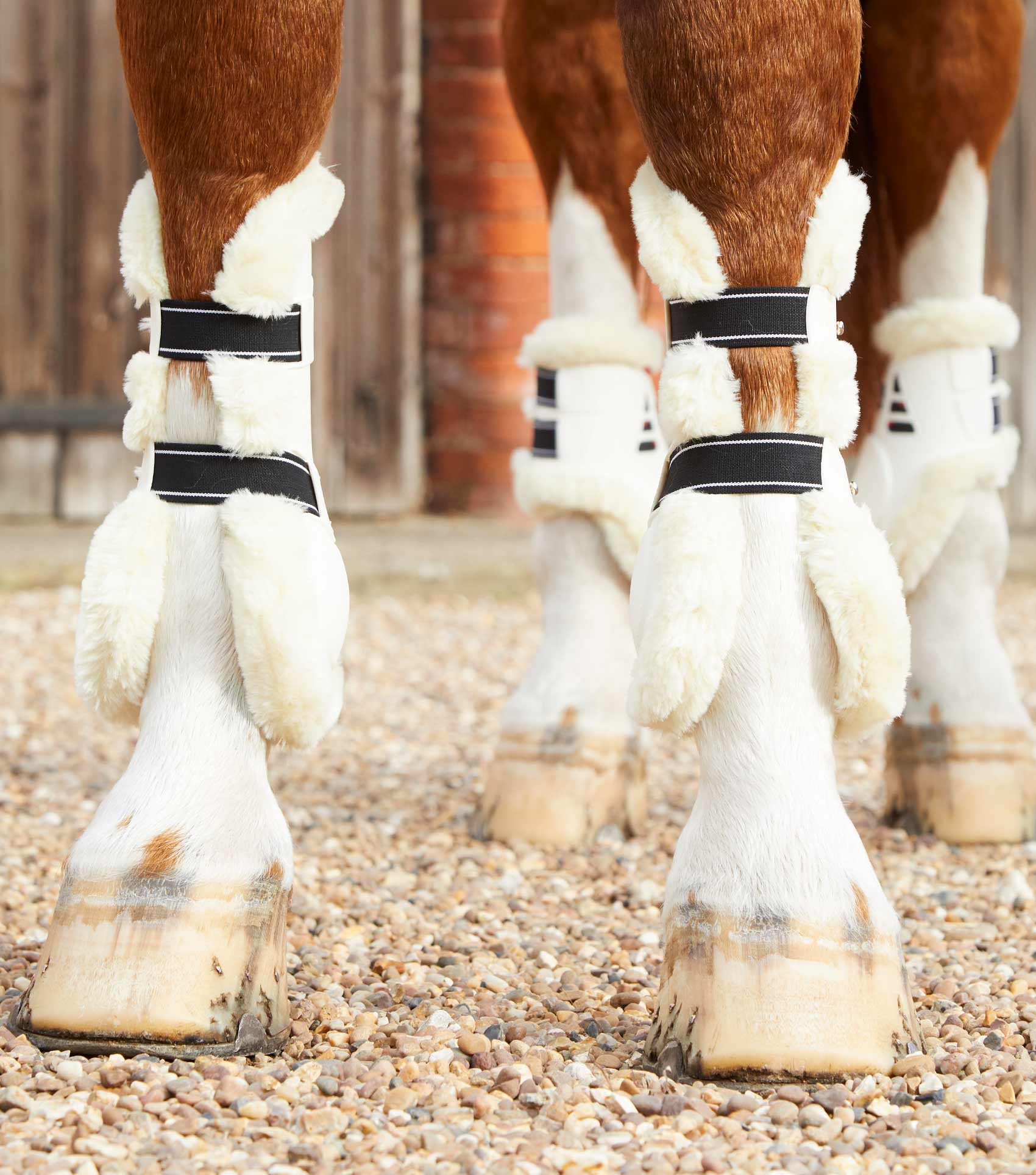Premier Equine Techno Wool Tendon Boots by Premier Equine at Try a Bit