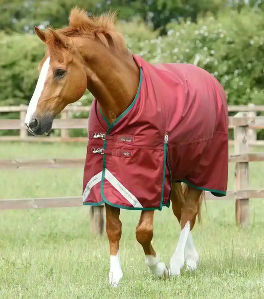 Premier Equine Titan 100g Original Turnout Rug by Premier Equine at Try a Bit