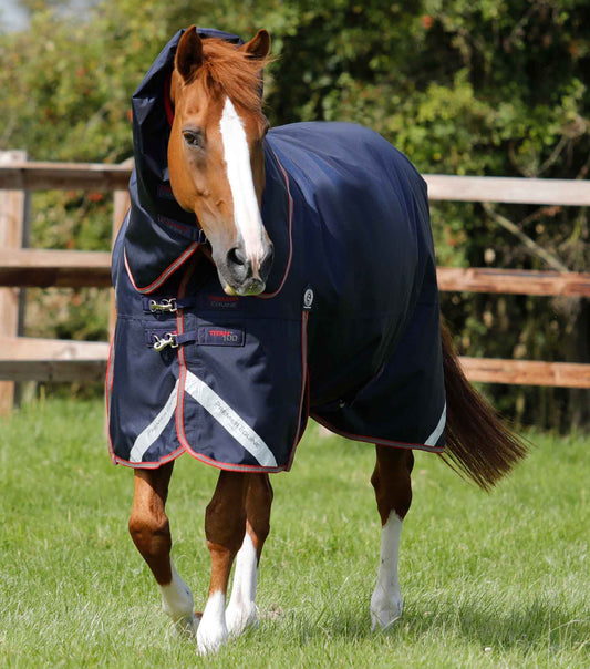 Premier Equine Titan 100g Turnout Rug with Snug-Fit Neck Cover by Premier Equine at  Try a Bit