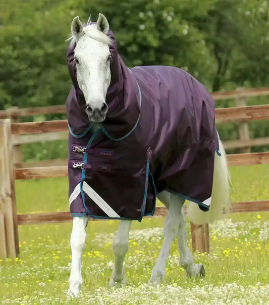 Premier Equine Titan 200g Turnout Rug with Snug-Fit Neck Cover by Premier Equine at Try a Bit