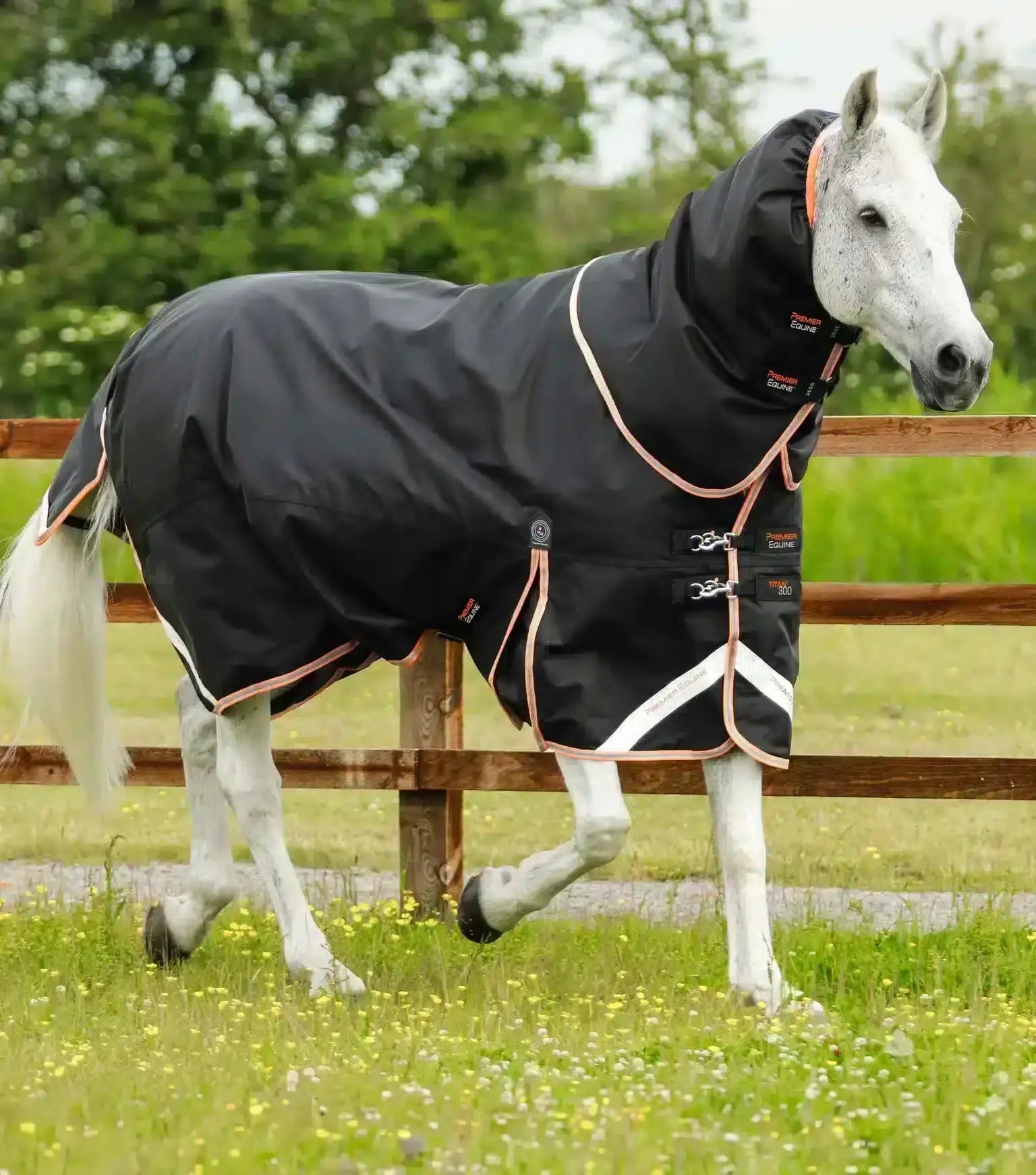 Premier Equine Titan 300g Turnout Rug with Snug-Fit Neck Cover by Premier Equine at Try a Bit