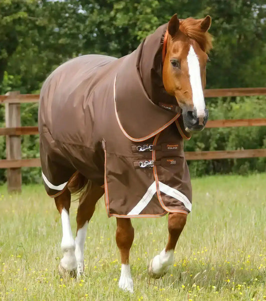 Premier Equine Titan 300g Turnout Rug with Snug-Fit Neck Cover by Premier Equine at  Try a Bit