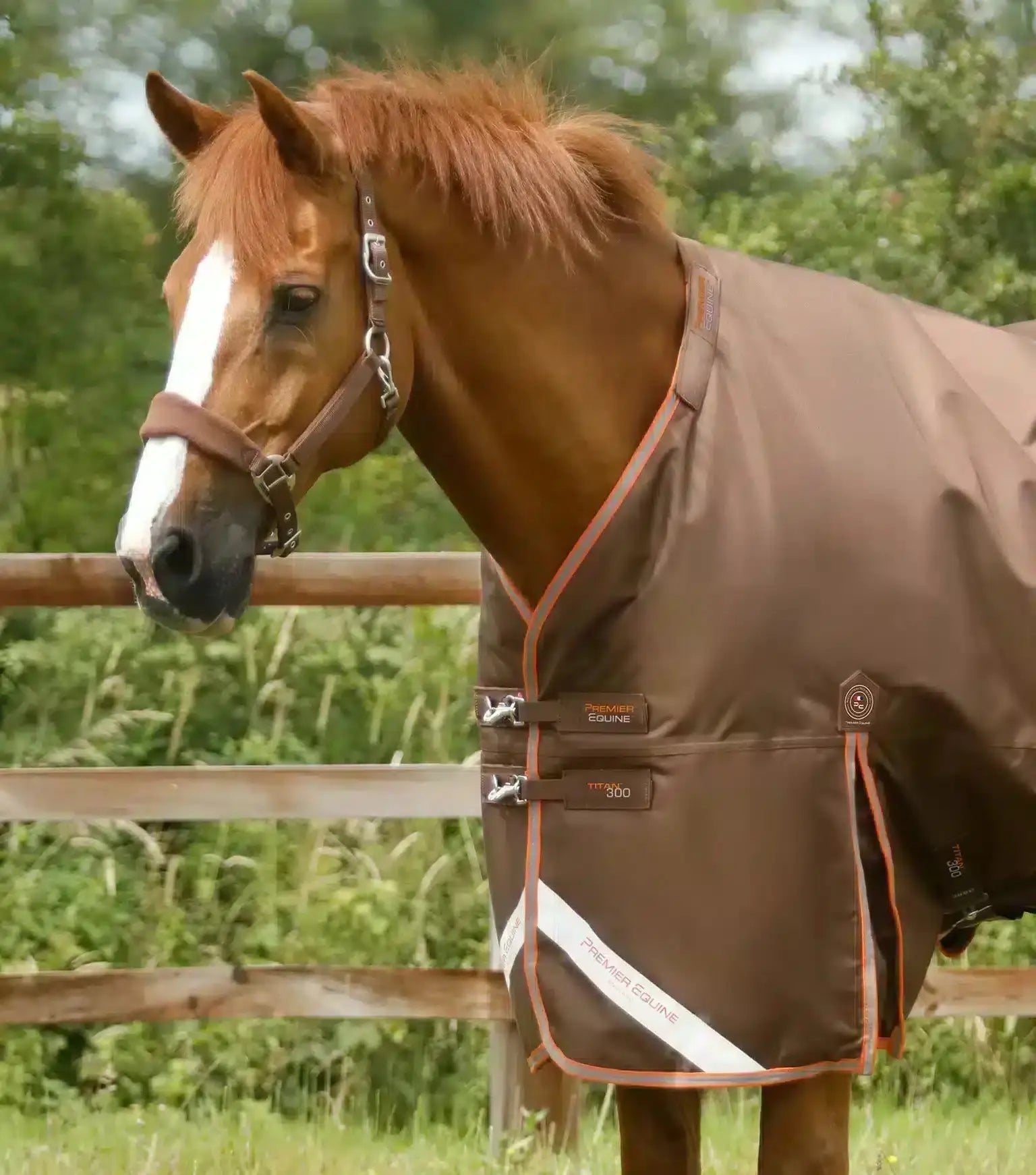 Premier Equine Titan 300g Turnout Rug with Snug-Fit Neck Cover by Premier Equine at Try a Bit