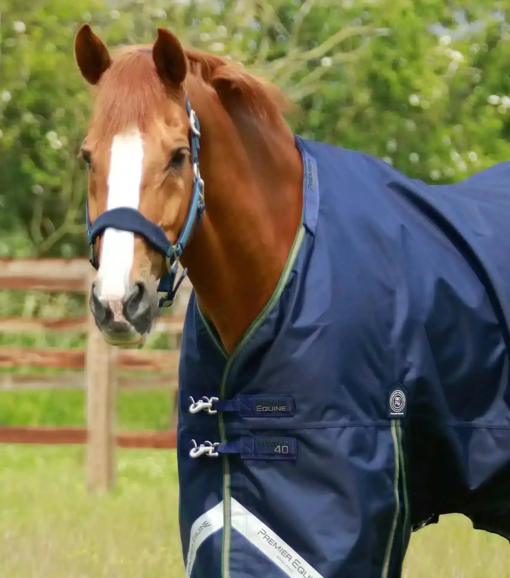 Premier Equine Titan 40g Turnout Rug with Snug-Fit Neck Cover by Premier Equine at Try a Bit