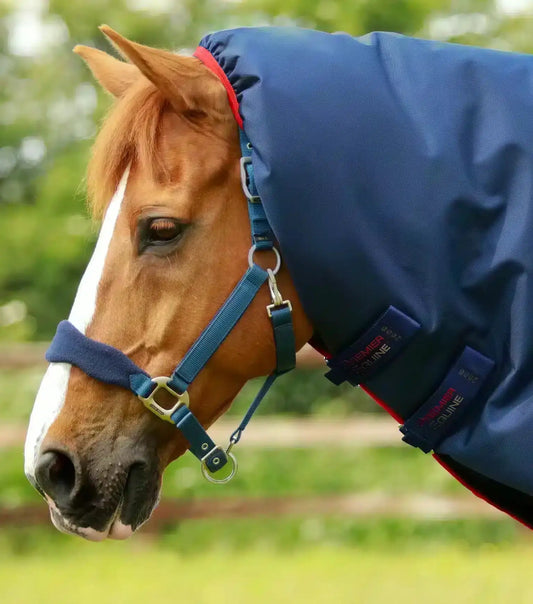 Premier Equine Titan 450g Turnout Rug with Snug-Fit Neck Cover by Premier Equine at  Try a Bit