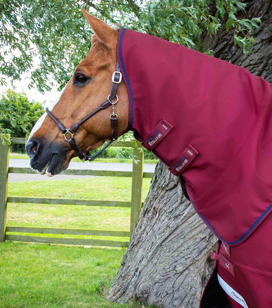 Premier Equine Titan 50g Turnout Rug with Classic Neck Cover by Premier Equine at  Try a Bit
