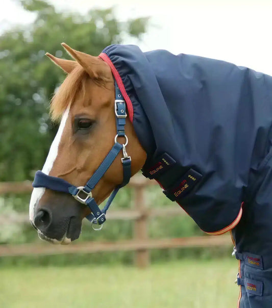 Premier Equine Titan Storm 450g Combo Turnout Rug with Snug-Fit Neck by Premier Equine at  Try a Bit