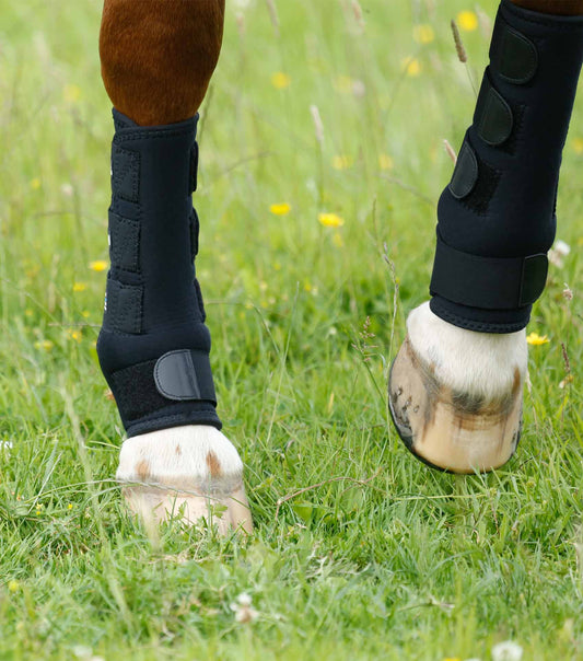 Premier Equine Turnout Boots by Premier Equine at  Try A Bit