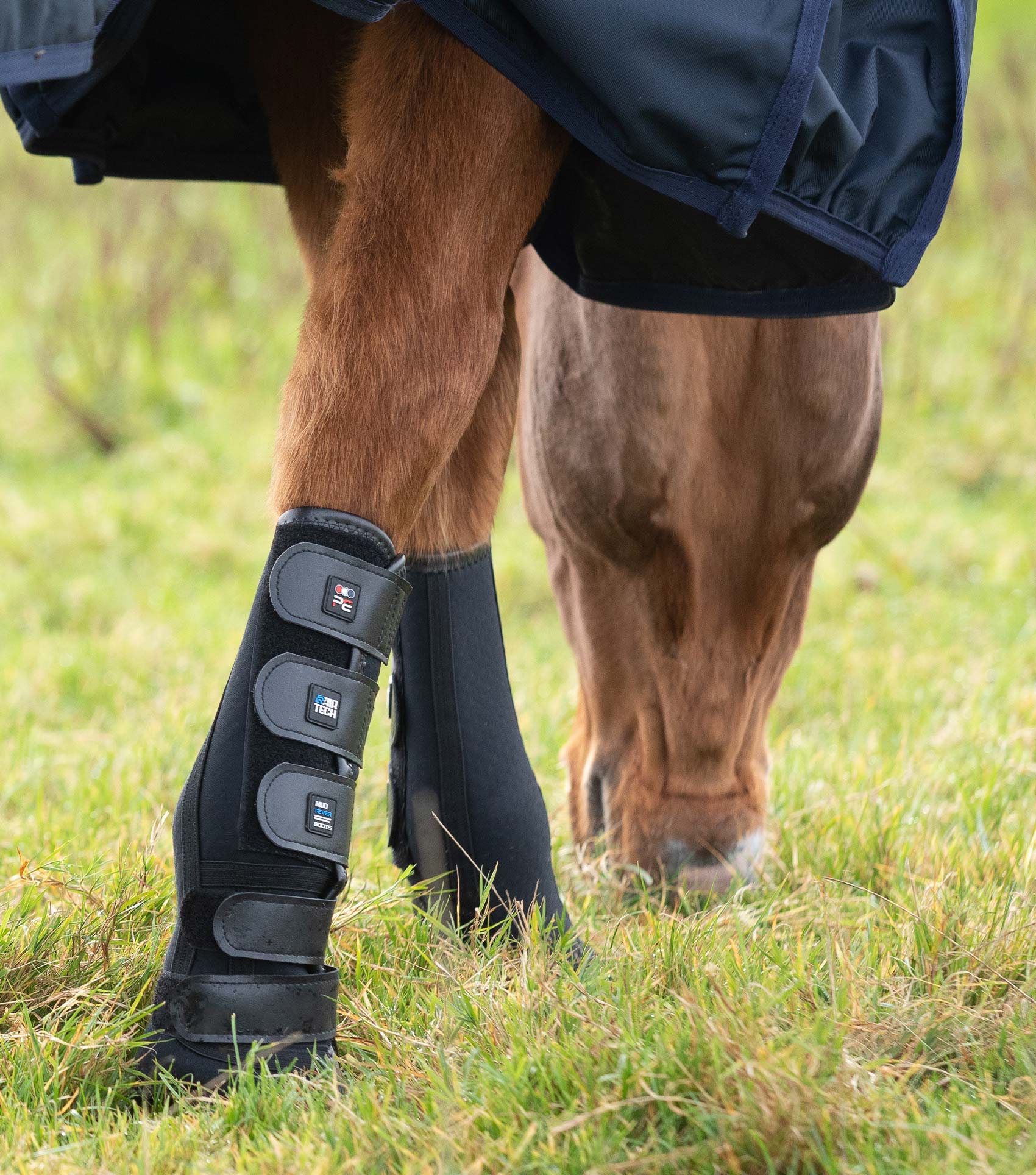 Premier Equine Turnout/ Mud Fever Boots by Premier Equine at Try a Bit