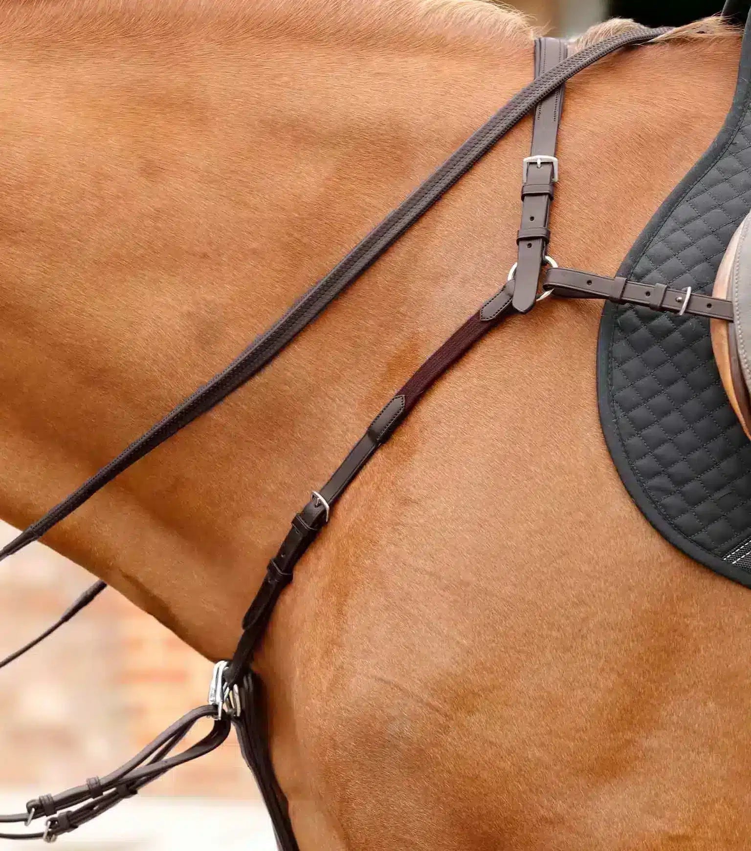 Premier Equine Valbrona Performance Breastplate by Premier Equine at Try a Bit