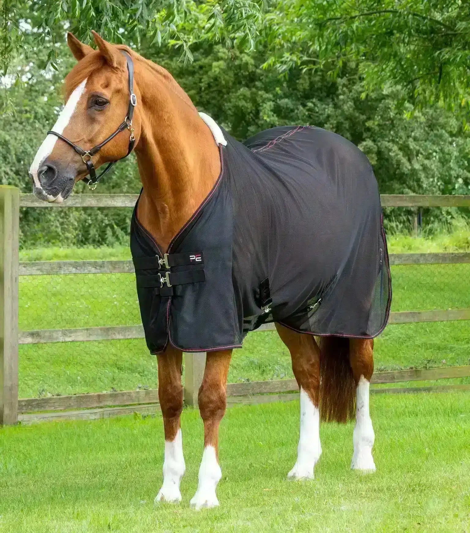 Premier Equine Ventoso Mesh Cooler by Premier Equine at Try a Bit