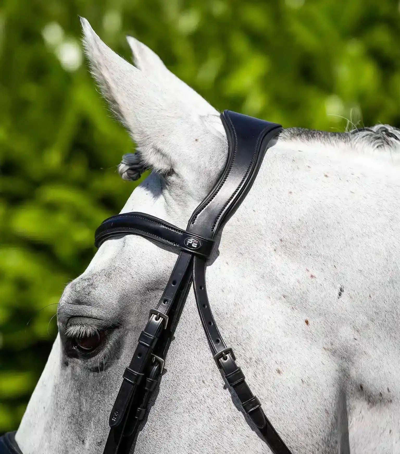 Premier Equine Verdura Anatomic Snaffle Bridle by Premier Equine at Try a Bit