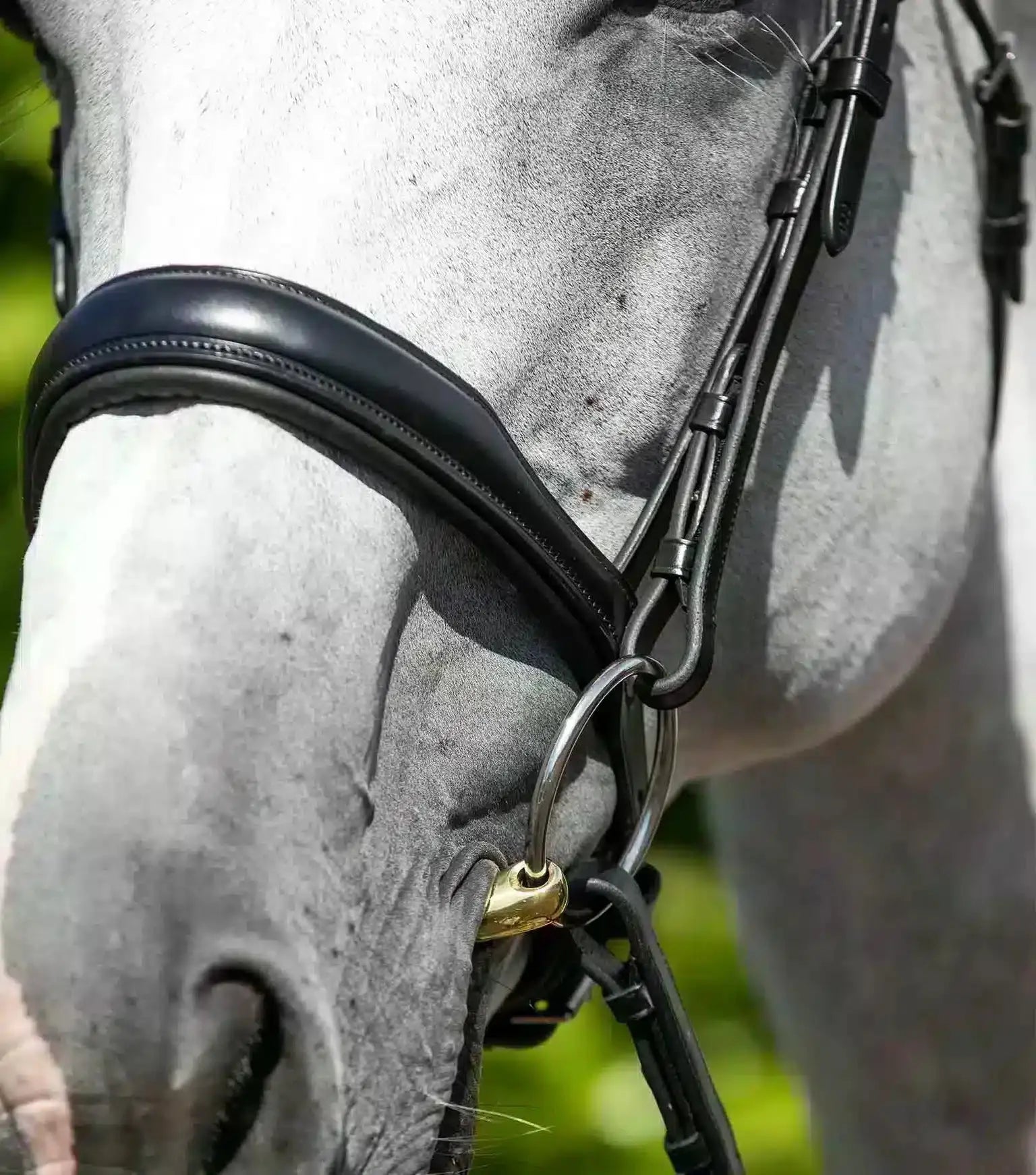 Premier Equine Verdura Anatomic Snaffle Bridle by Premier Equine at Try a Bit