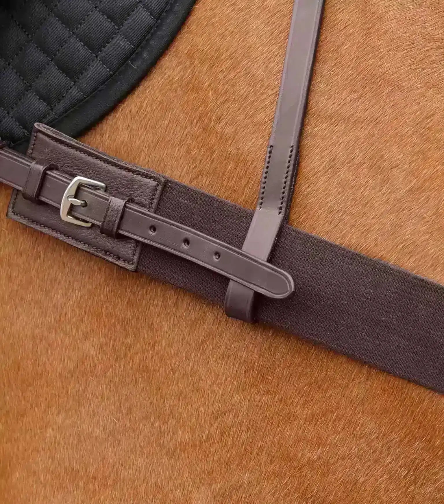 Premier Equine Zimella Elastic Breastplate by Premier Equine at Try A Bit