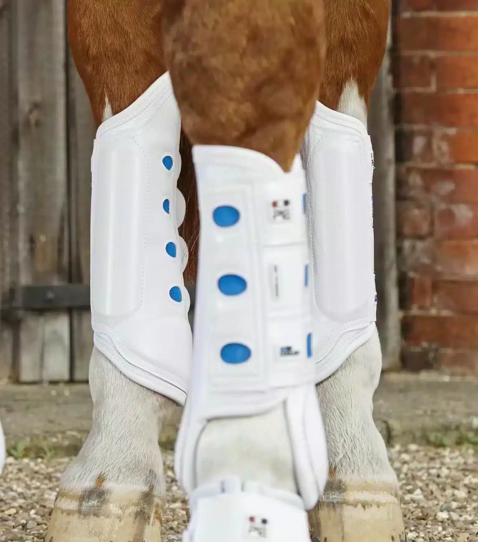 Premier Equine Air Cooled Original Eventing Boots- Hind by Premier Equine at Try a Bit