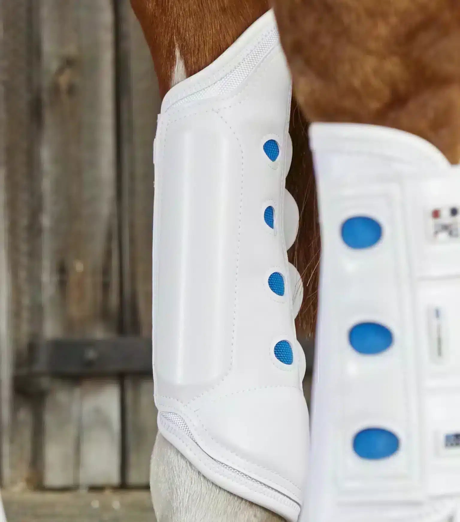 Premier Equine Air Cooled Original Eventing Boots- Hind by Premier Equine at Try a Bit