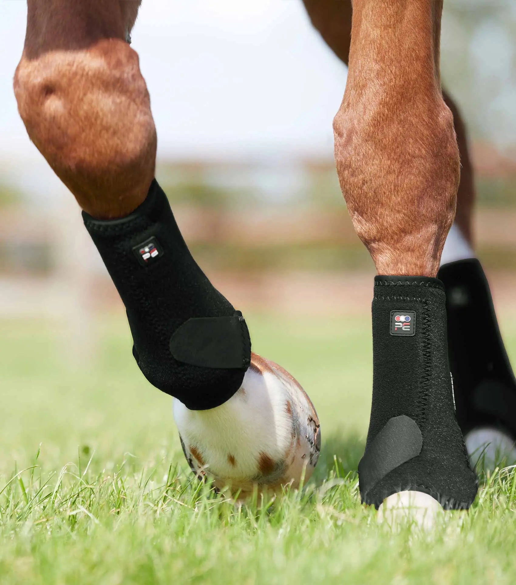 Premier Equine Air-Tech Sports Medicine Boots by Premier Equine at Try A Bit