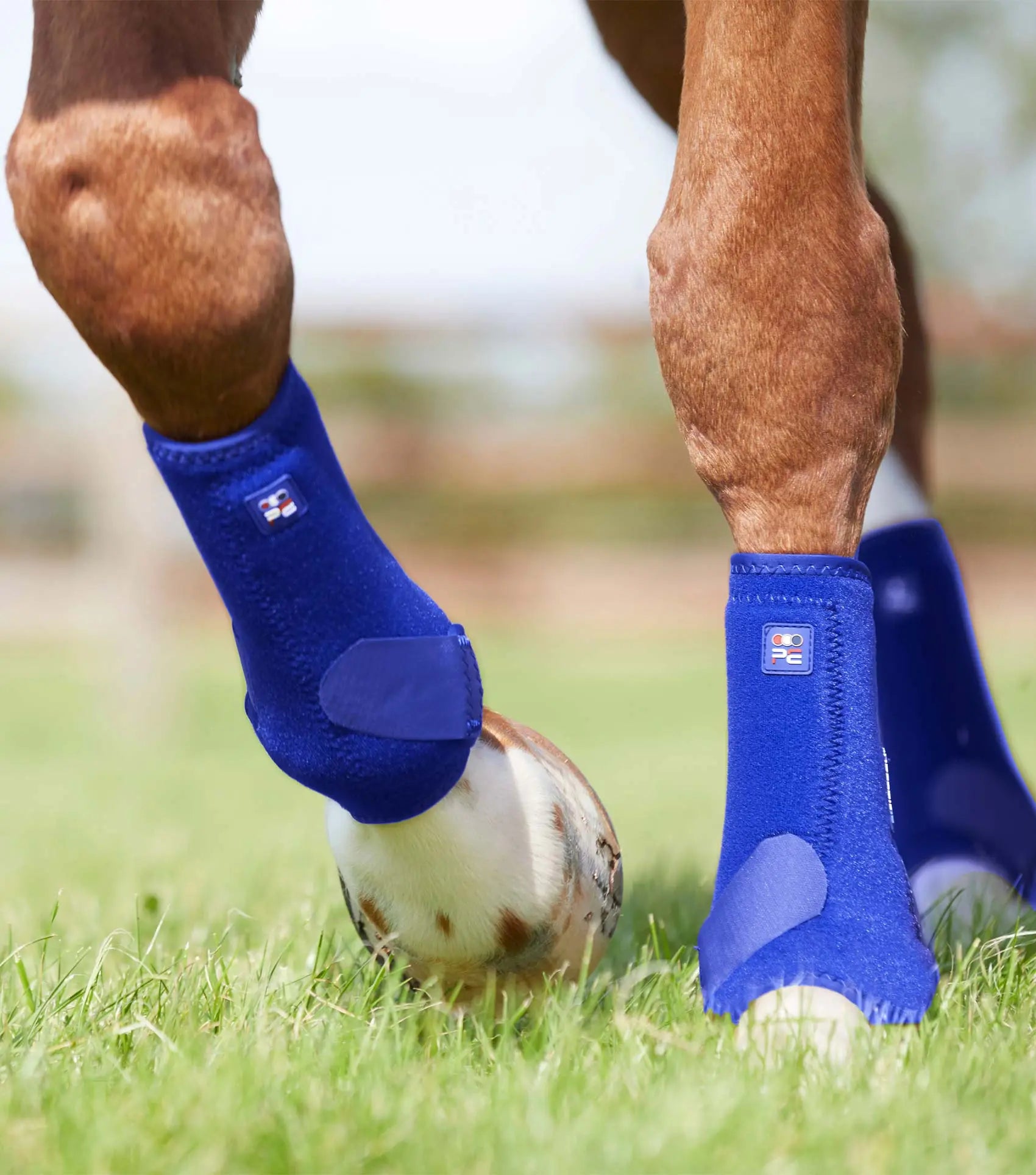Premier Equine Air-Tech Sports Medicine Boots by Premier Equine at Try A Bit