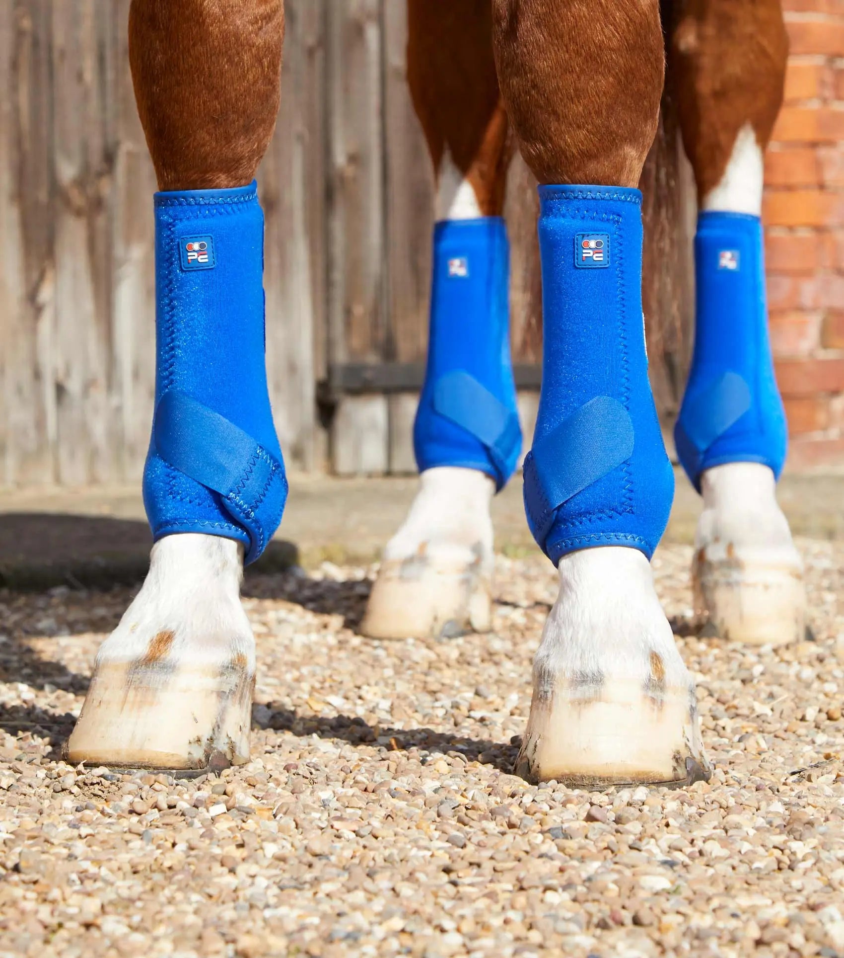 Premier Equine Air-Tech Sports Medicine Boots by Premier Equine at Try A Bit